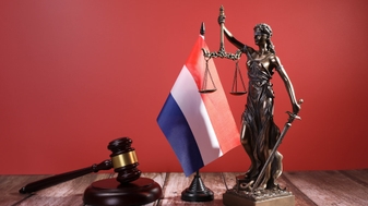 De democratie staat steeds vaker machteloos tegen gesubsidieerde linkse activisten die de rechter voor hun karretje spannen