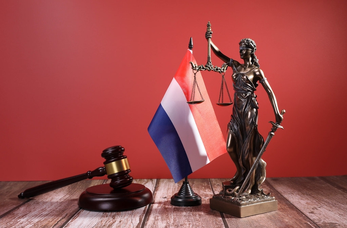 De democratie staat steeds vaker machteloos tegen gesubsidieerde linkse activisten die de rechter voor hun karretje spannen