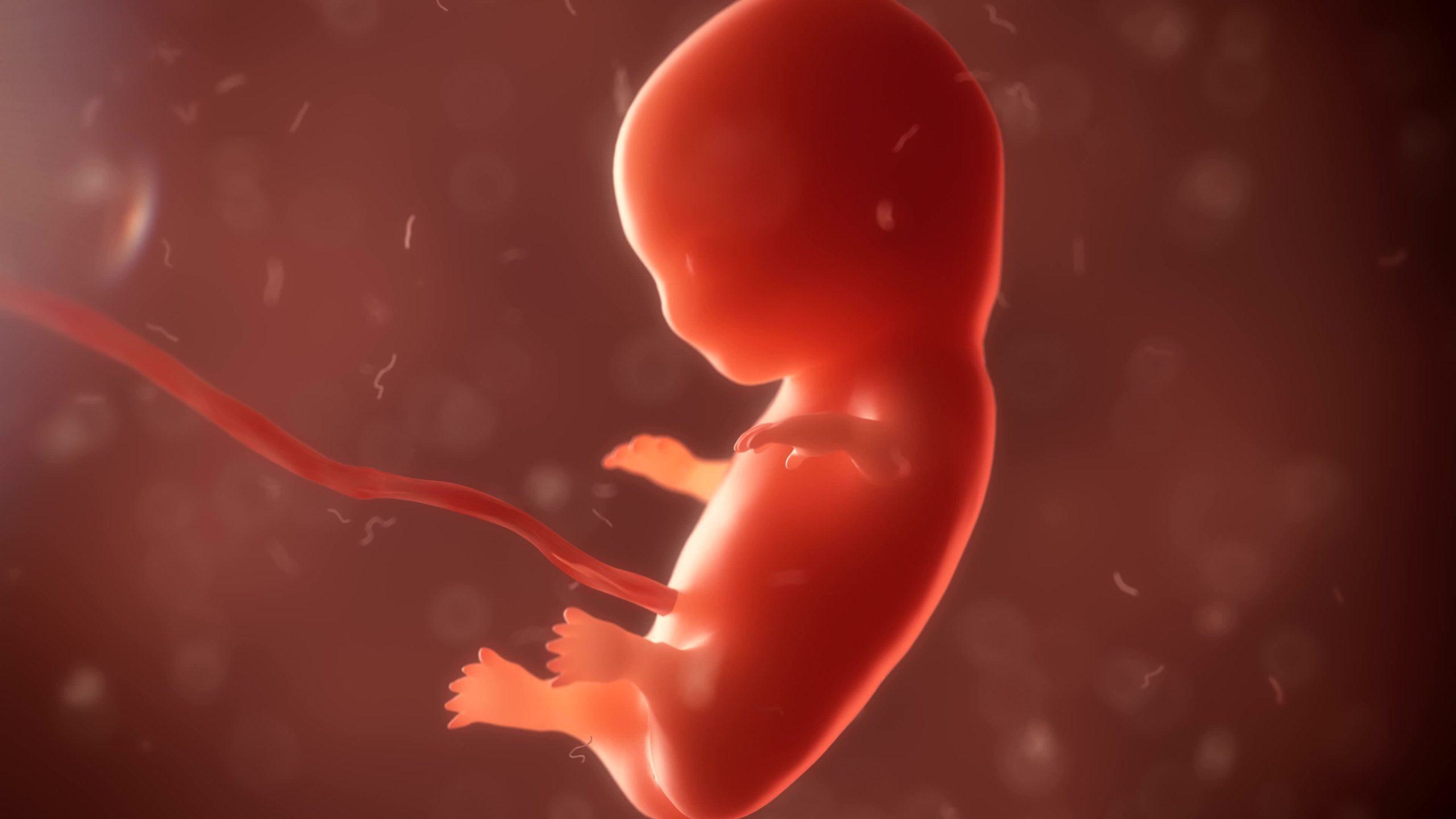 10 redenen waarom abortus een kwaad is
