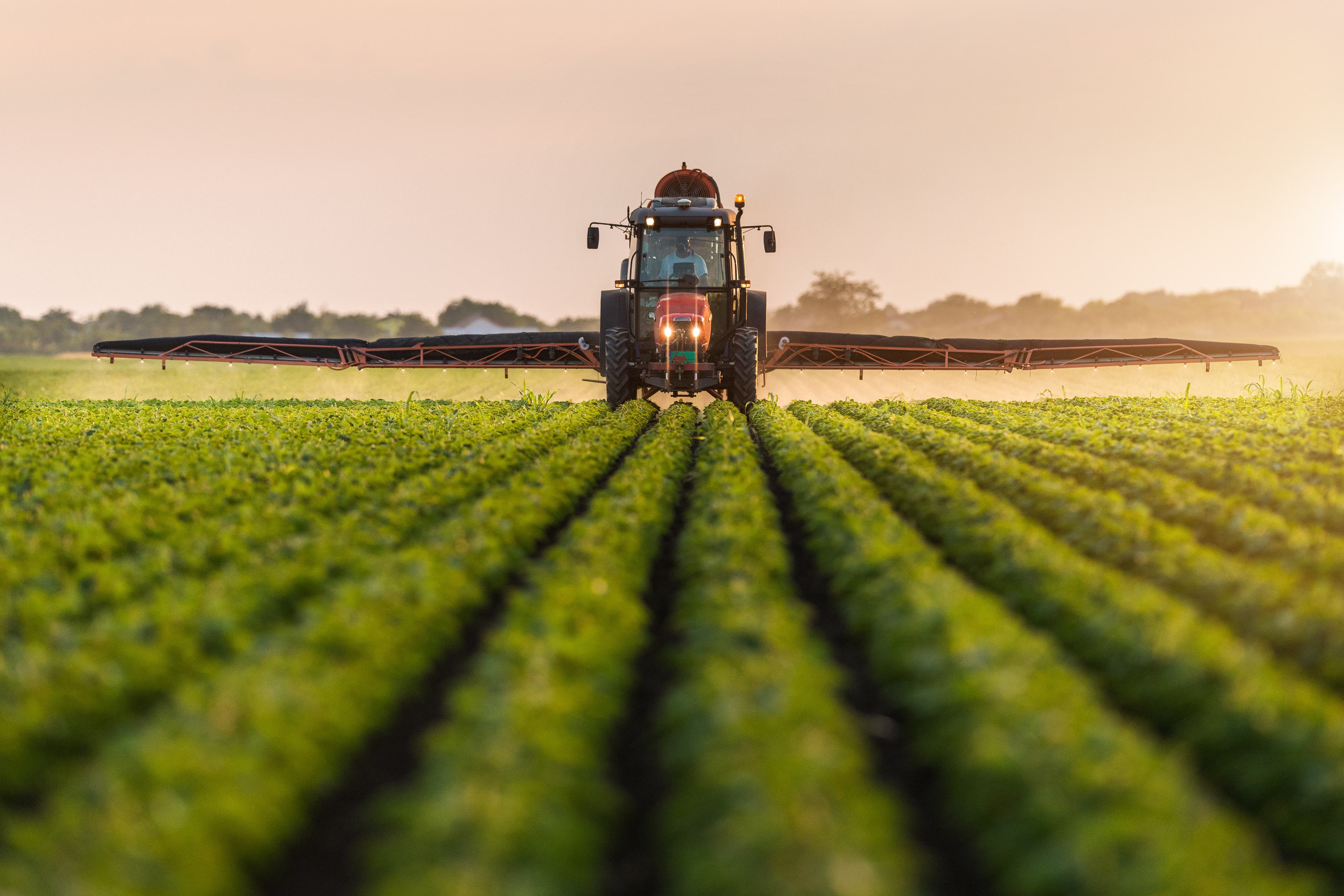 Autoriteit Consument & Markt: ‘Onteigen boeren die niet duurzaam zijn’