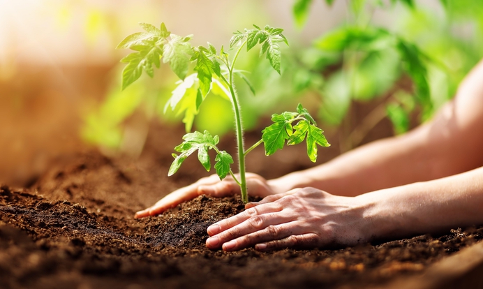 5 tekenen dat klimaat baat heeft bij moderne landbouw