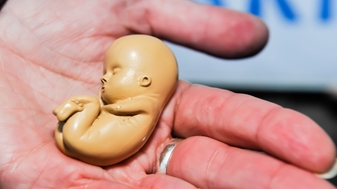 Drie dodelijke dubbelzinnigheden van de abortuswet