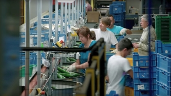 Nederlandse economie: verslaafd aan arbeidsmigranten