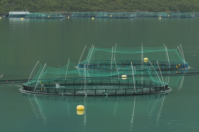 Fish farming in Torskefjorden Senja Troms Norway 2014 August 2