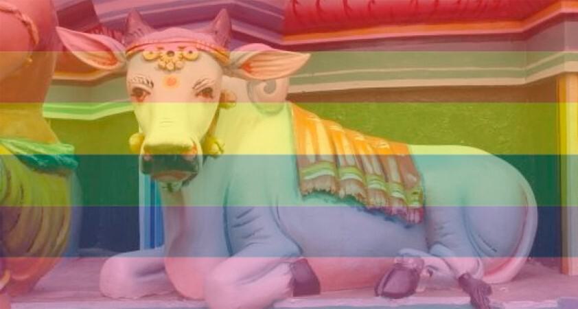 India: de LHBT-lobby is de nieuwe heilige koe