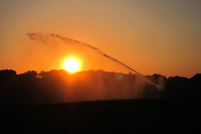 De socialistische mentaliteit achter de jammerklachten over 'extreme' hittegolven