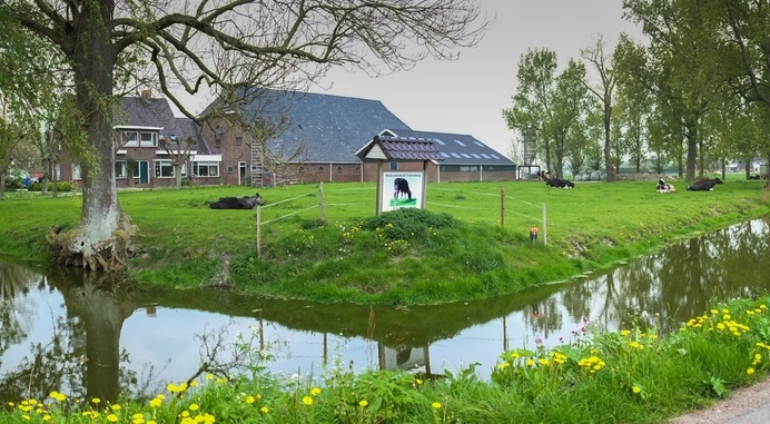 Nieuw onderzoek haalt stikstofbeleid onderuit