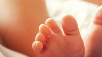 De Pro Life Kalender 2018 ligt voor u klaar!