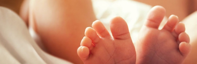 De Pro Life Kalender 2018 ligt voor u klaar!