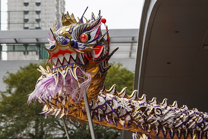 De voorspelbare draak