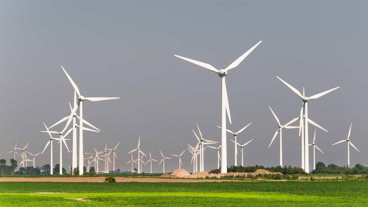 Vindt u dat de overheid moet stoppen Nederland vol te zetten met windturbines?