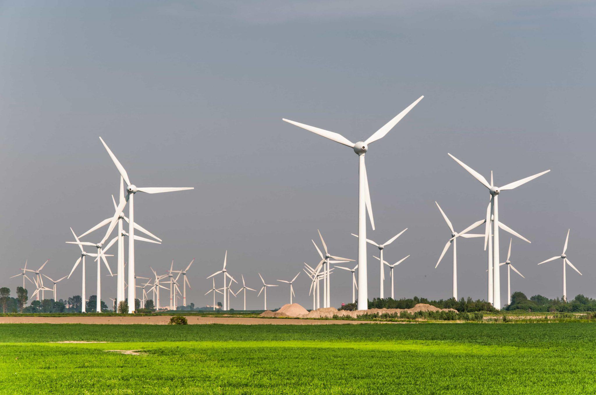 Groene gekte probeert Nederland te vernietigen