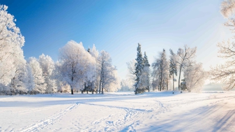 De NOS als spreekbuis van klimaatideologie