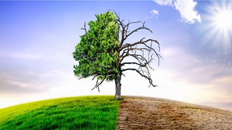 Paus Franciscus' oproepen tot ‘ecologische bekering’