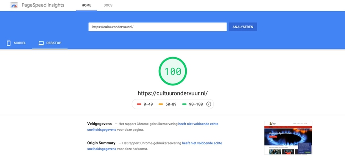 Google pagespeed nieuwe site