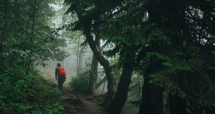 Hoe 'psychonauten' de samenleving op een duister en macaber pad willen brengen