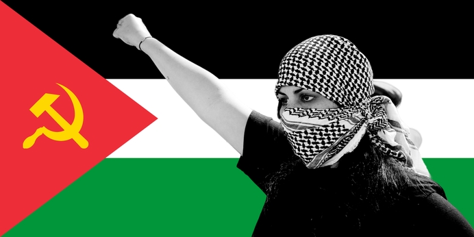 Zoveelste ravage aan de UvA: wanneer eindigt de terreur van pro-Palestinastudenten?