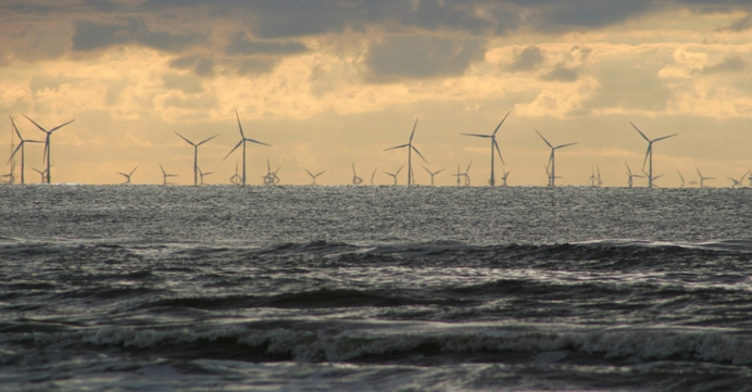 Windturbines op zee: Het grootste milieuschandaal van onze tijd