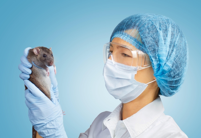 Chinees rattenexperiment volgende stap in opheffen biologische man-vrouw verschillen