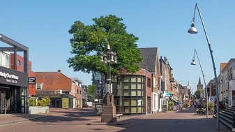 Ede Pride sneuvelt door gebrek aan steun