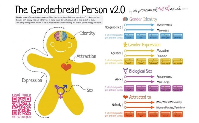Uitgelekte documenten onthullen LGBT-indoctrinatie op scholen VS