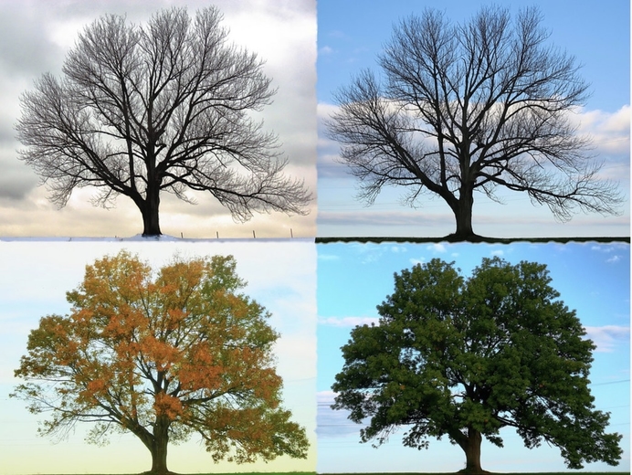 Quatertemperdagen, wat zijn dat?