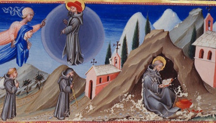 Sint-Petrus Damianus, hervormer en kerkleraar