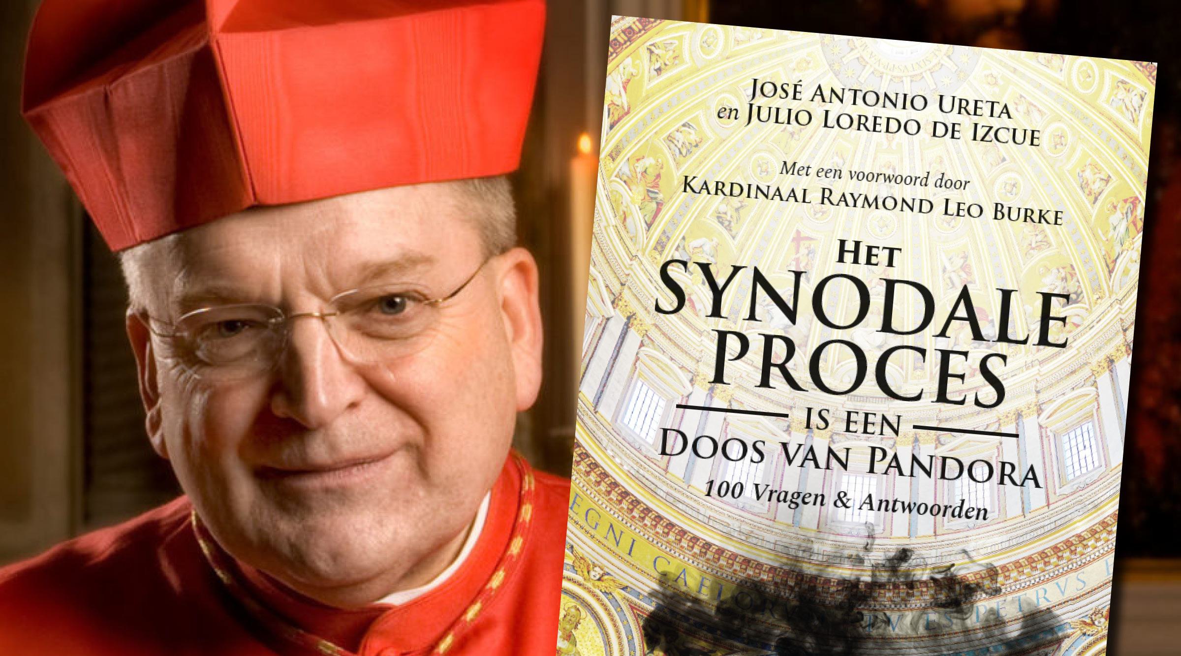 Kardinaal Burke: synode dreigt "grote schade" te berokkenen aan "vele zielen"