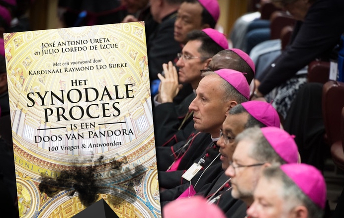 Nieuw boek luidt noodklok over komende Synode