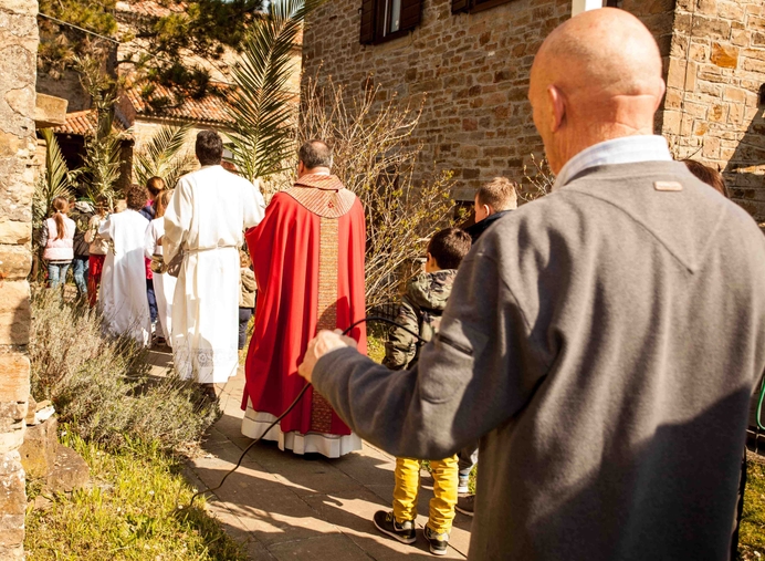 Palm easter sunday 2 min