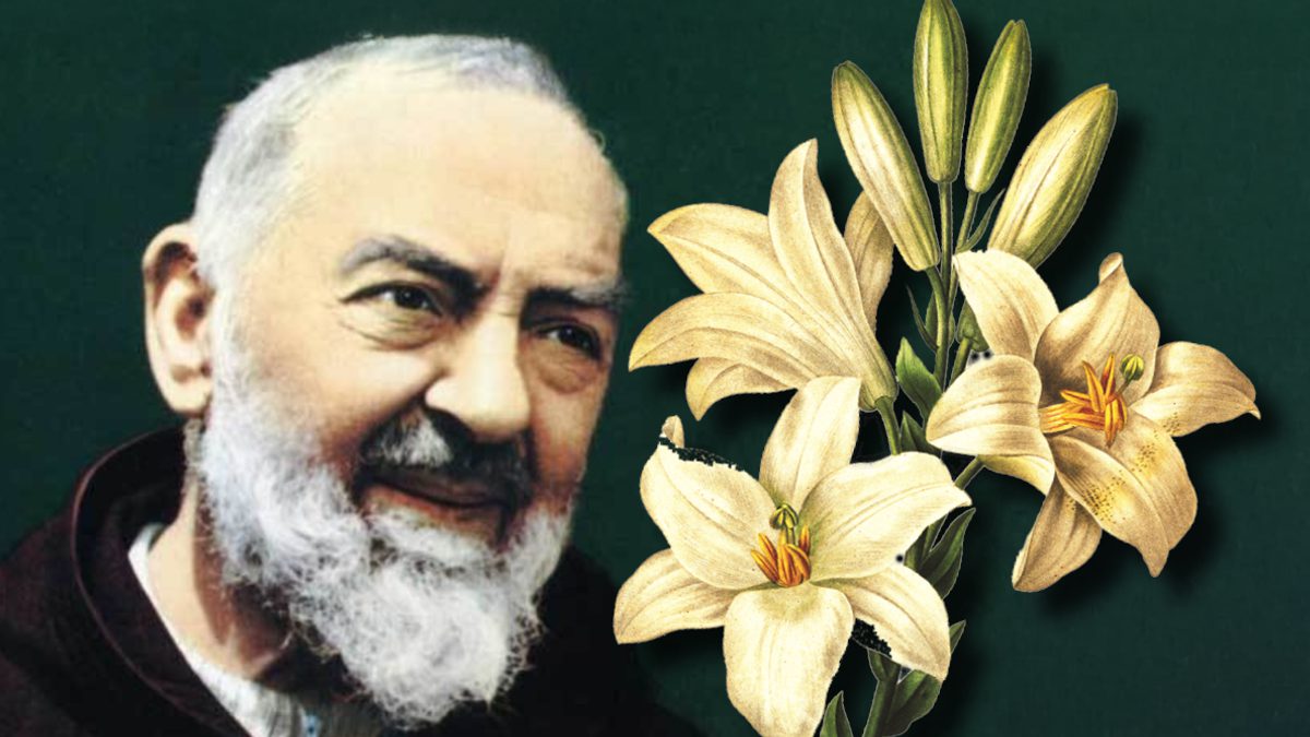 Mijn intentie voor Padre Pio