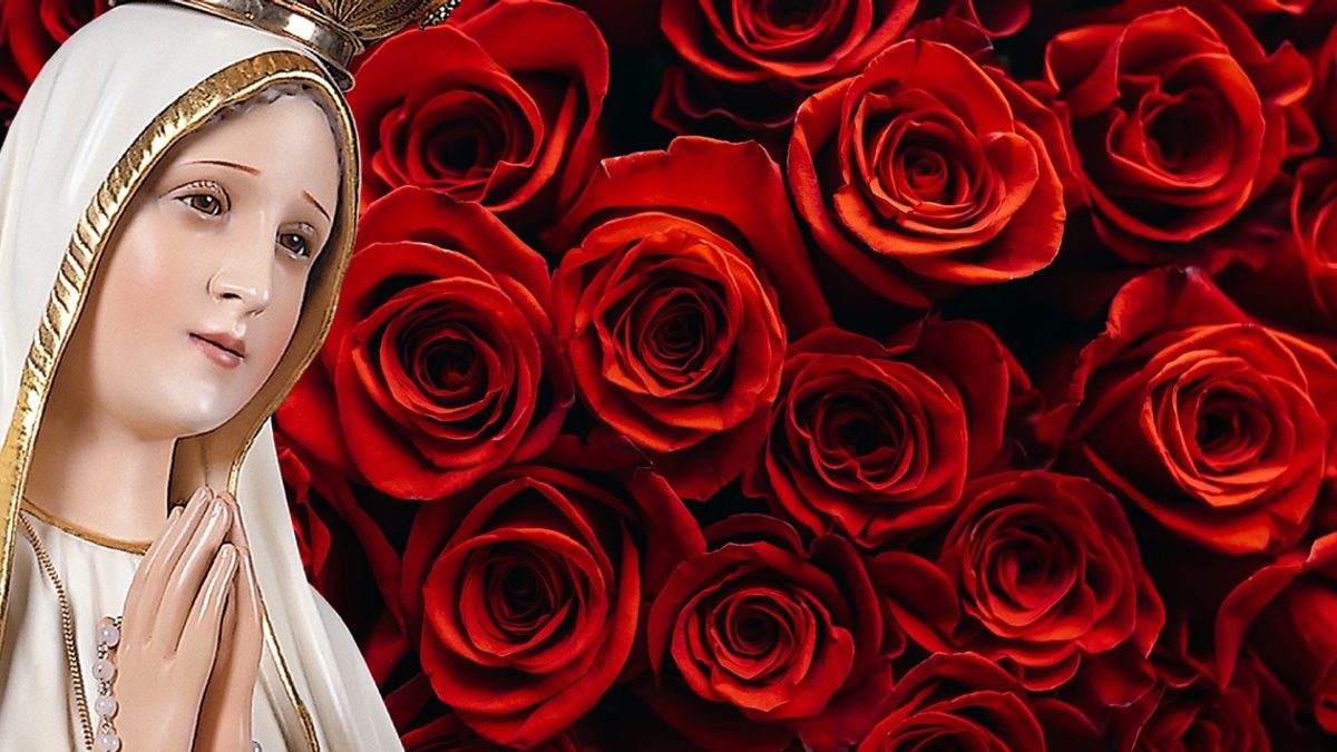 Roo banner 1800x900