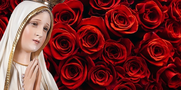 Roo banner 1800x900