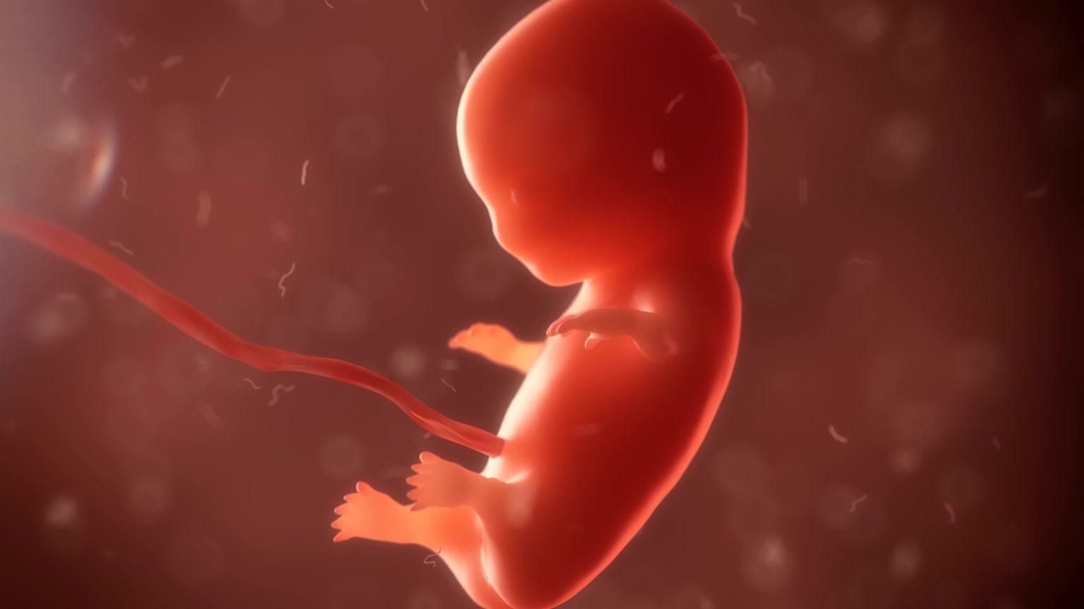 Hoe rechters en politici het recht op leven verdraaien in een ‘recht op abortus’