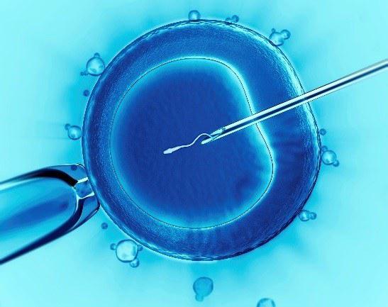 Nieuwe embryowet maakt Frankenstein-achtige experimenten mogelijk