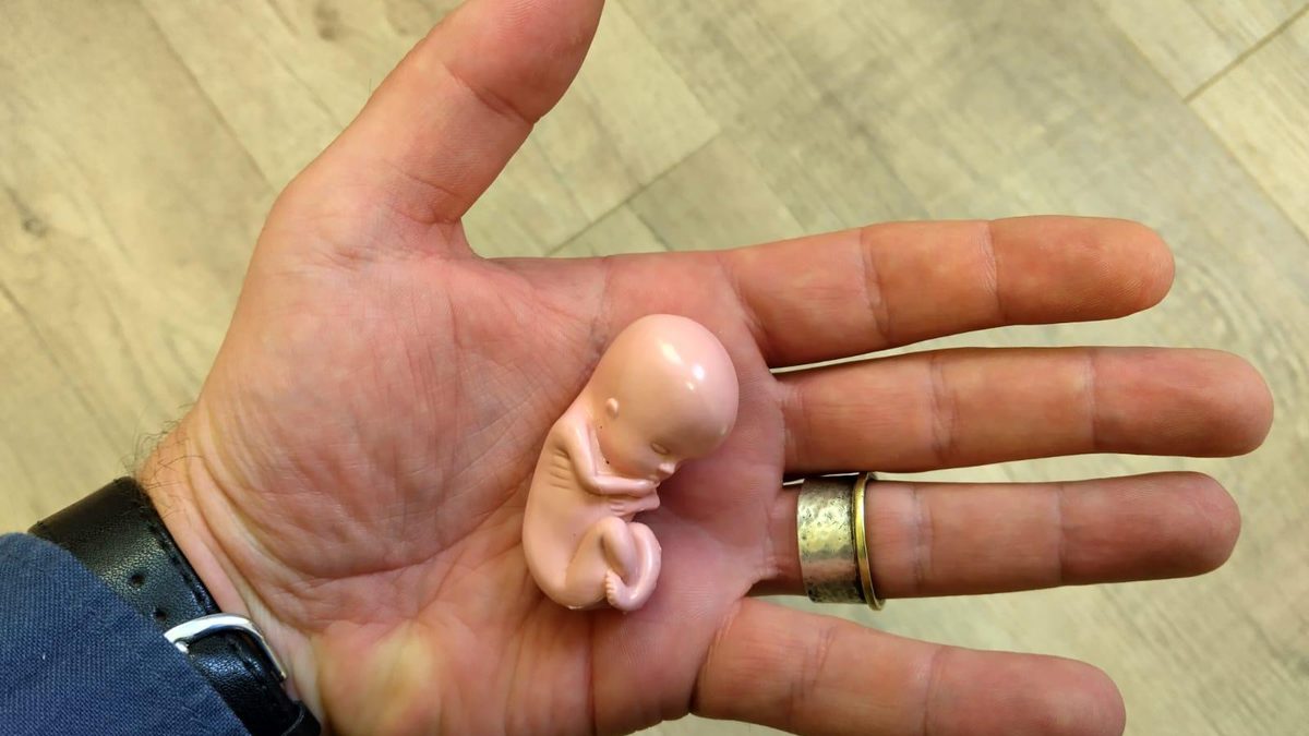 Pro-life poppetje