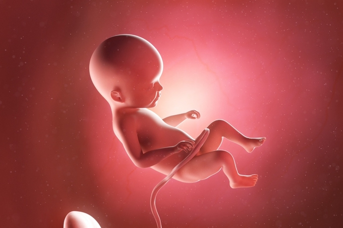 Stirezo doet mee aan consultatie: abortus hoort thuis in het strafrecht en is nooit zorg