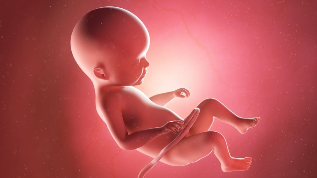 Hoe kan de overheid het best abortus terugdringen?