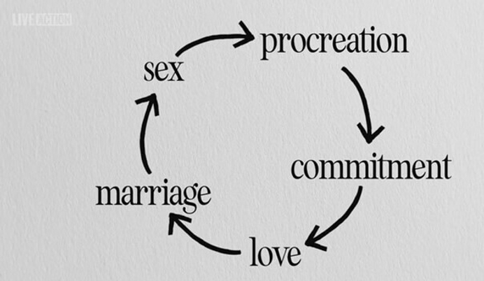 False Connection Cycle 6 Ways Contraception harms Woman,… | TFP Student Action Europe