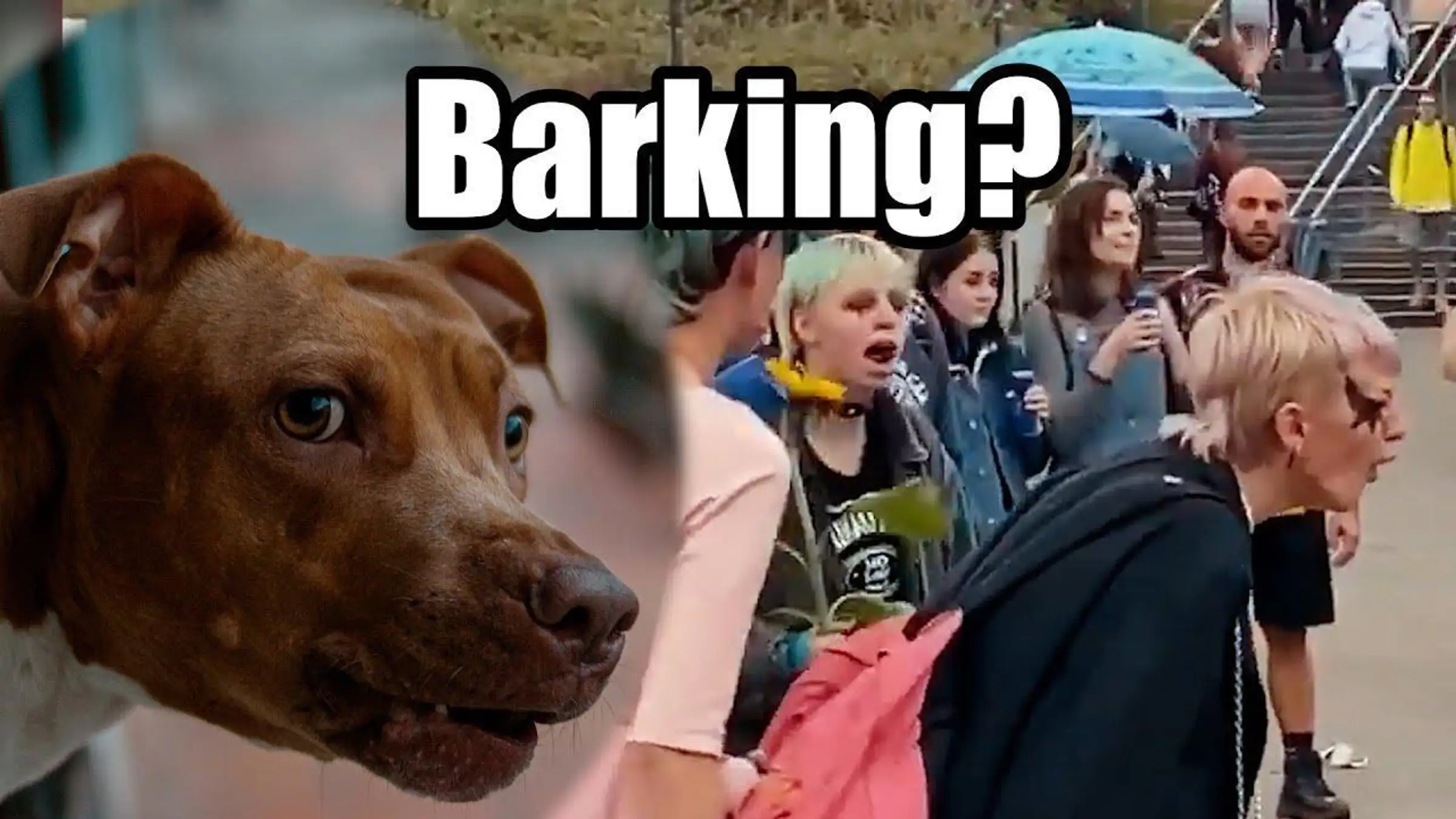 Young Catholics vs. Barking LGBT Mob