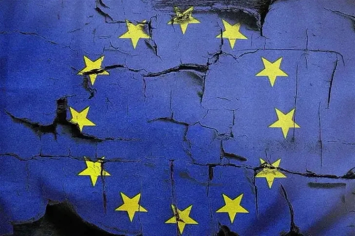 The European Union and its Post-Election Future