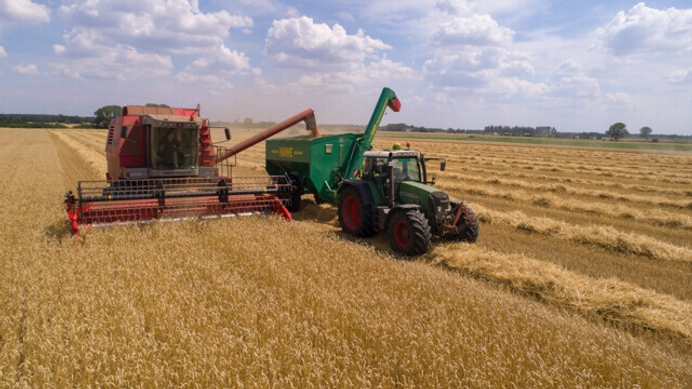 The Green War on Dutch Farmers Should Concern Everybody